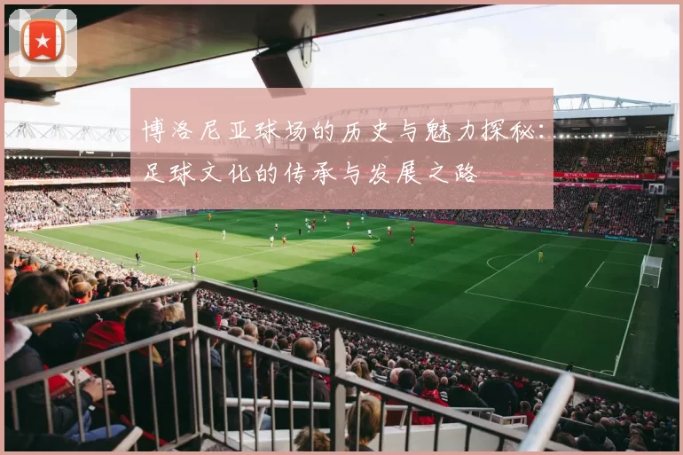 博洛尼亚球场的历史与魅力探秘：足球文化的传承与发展之路