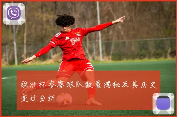 欧洲杯参赛球队数量揭秘及其历史变迁分析
