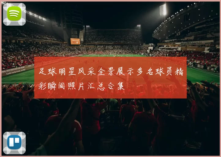 足球明星风采全景展示多名球员精彩瞬间照片汇总合集