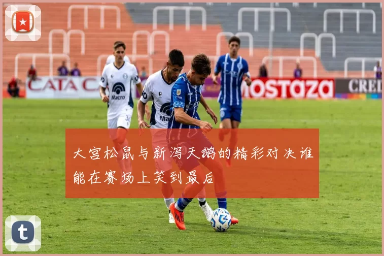 大宫松鼠与新泻天鹅的精彩对决谁能在赛场上笑到最后